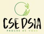 CSE DSIA